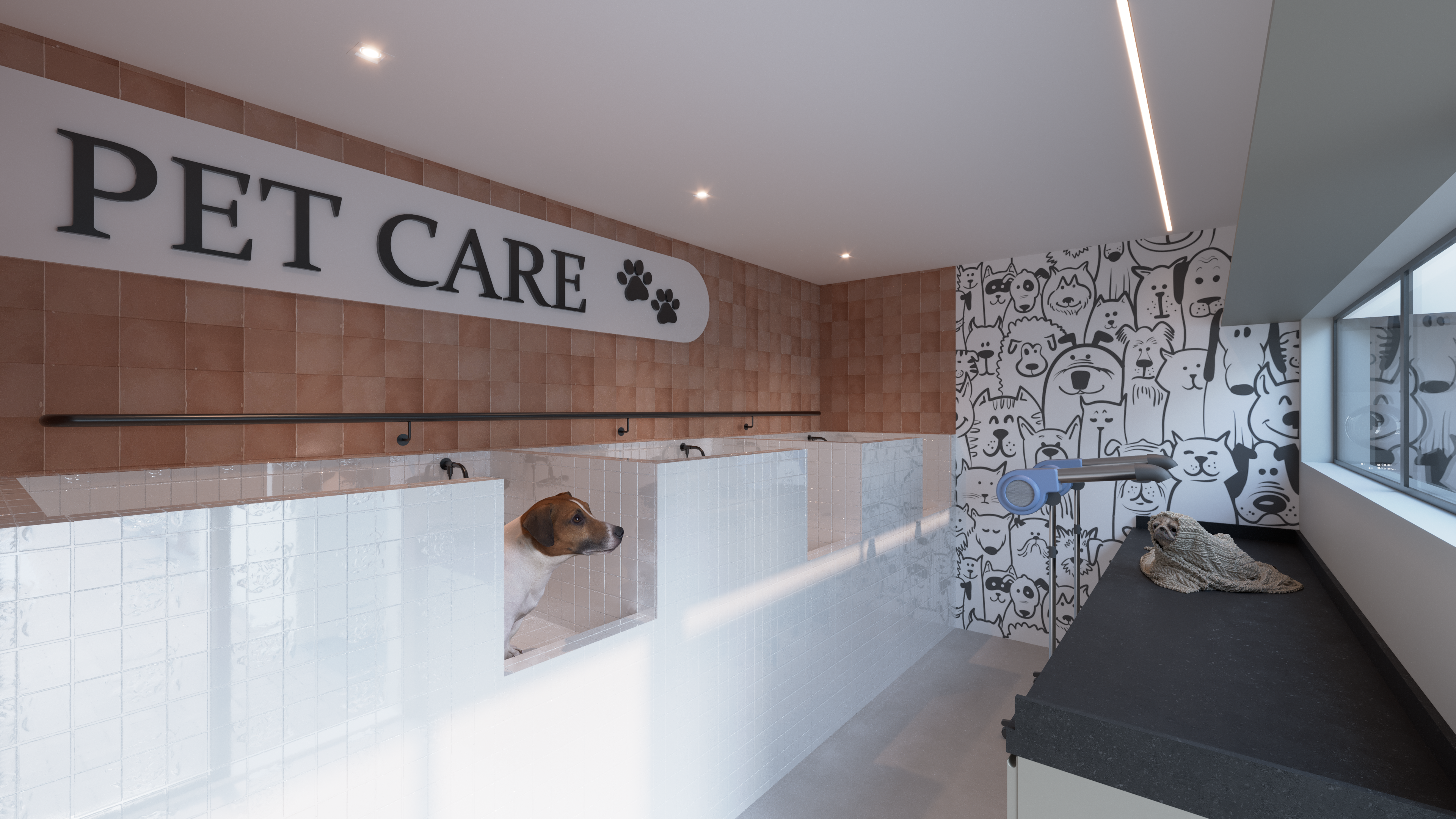 Espaço pet care e cuidados para animais.